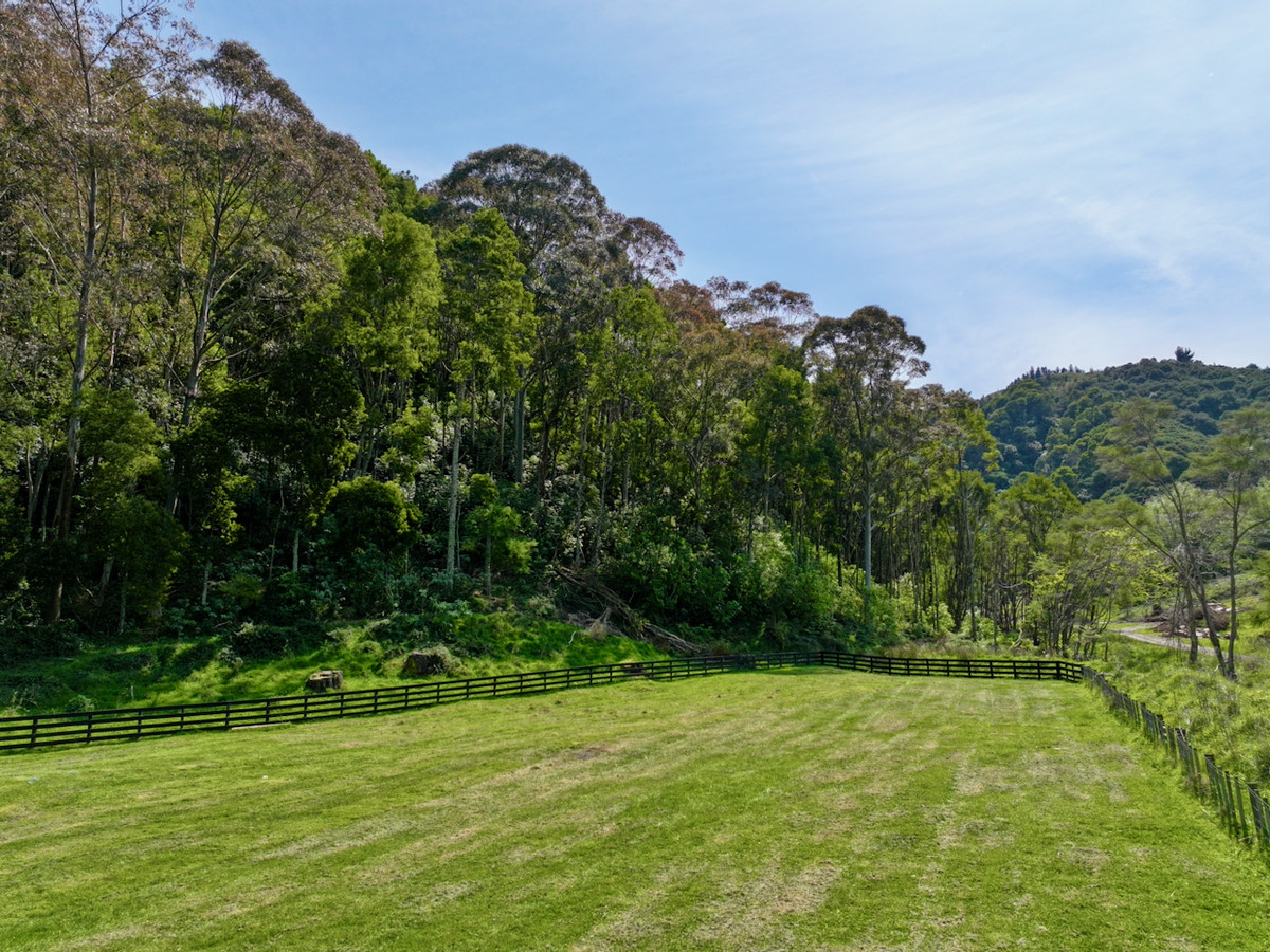 Bush retreat minutes from Ballance Street