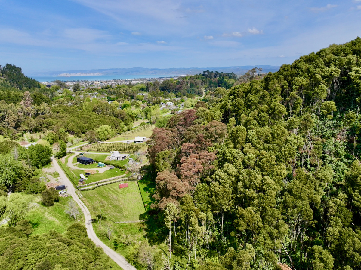 Bush retreat minutes from Ballance Street