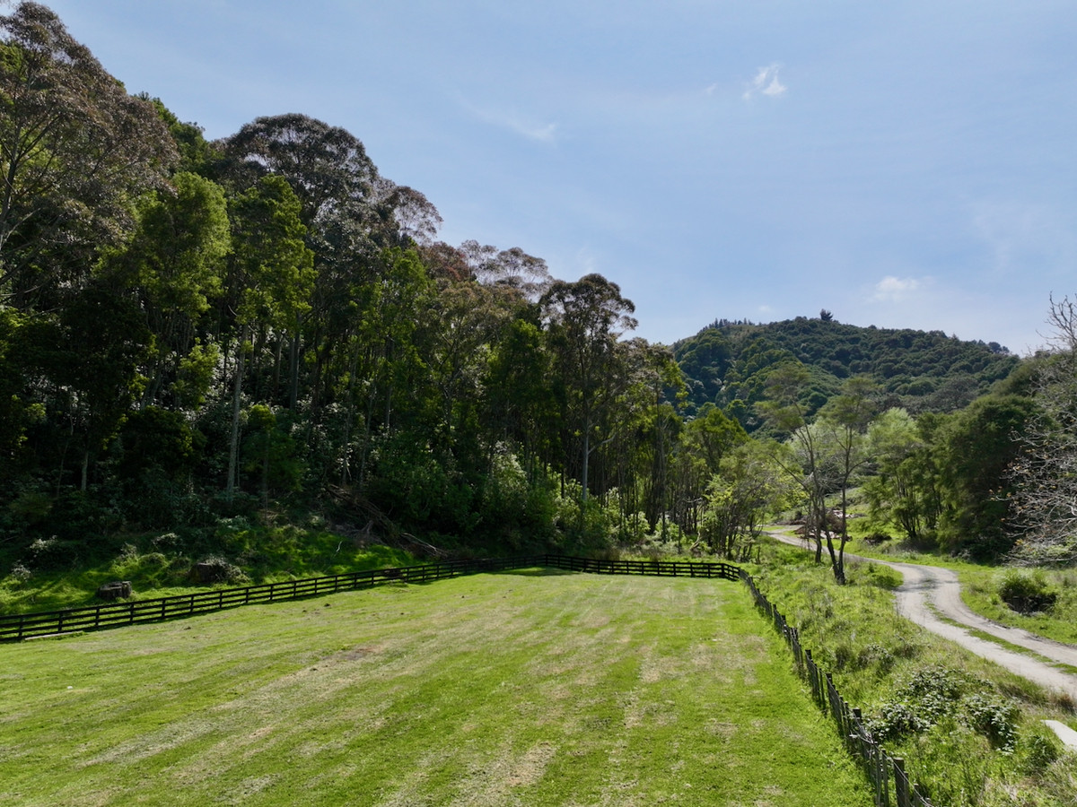 Bush retreat minutes from Ballance Street