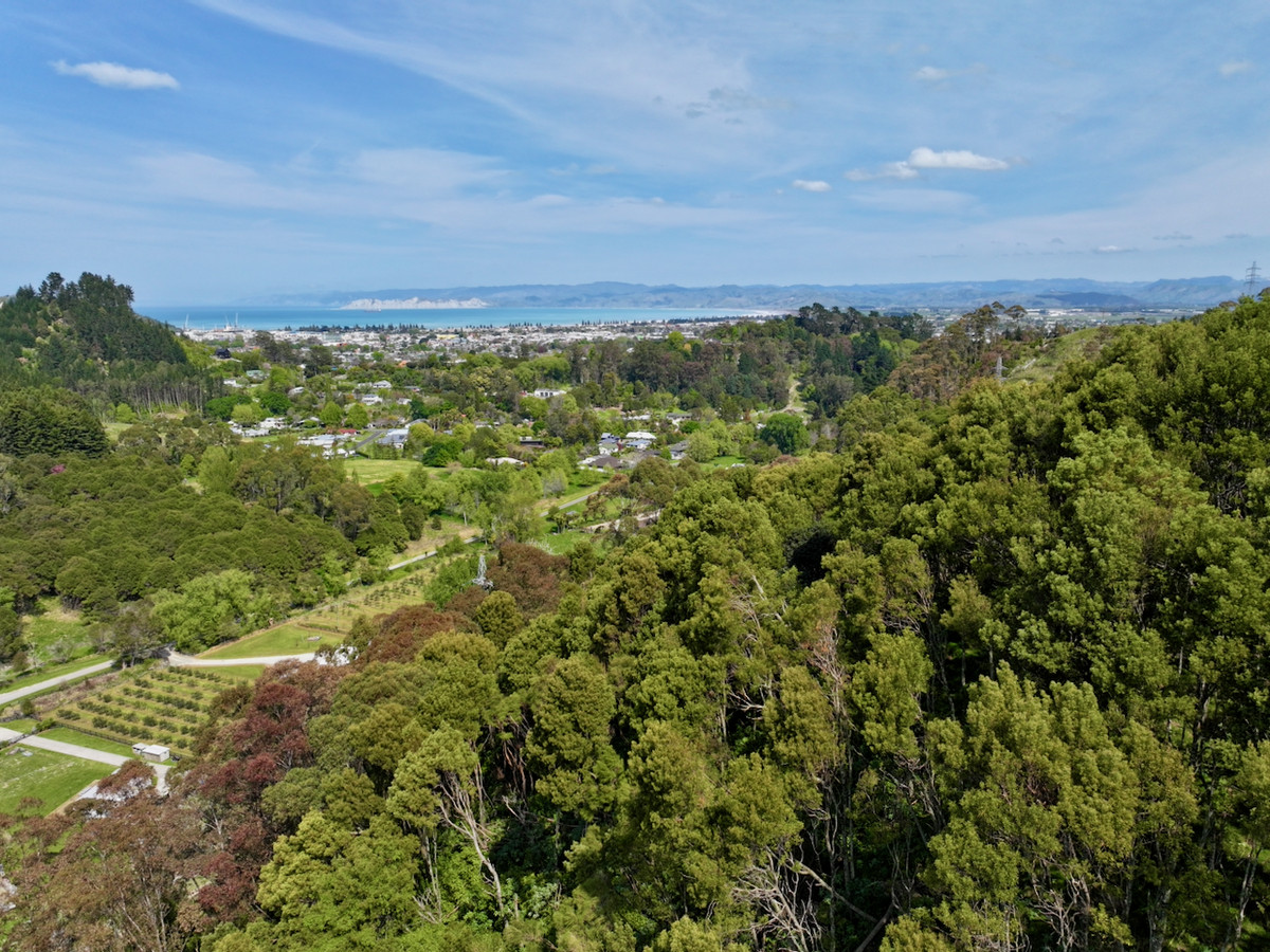 Bush retreat minutes from Ballance Street