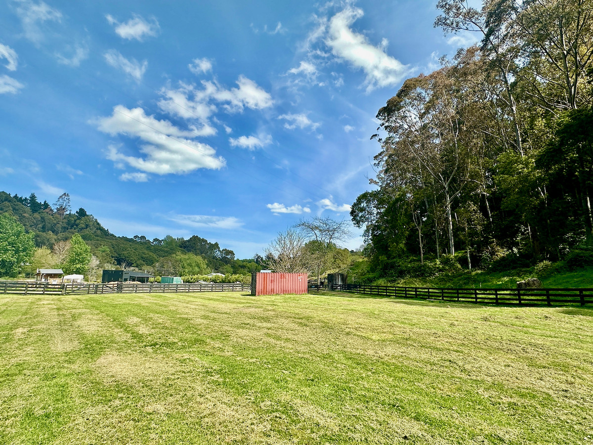 Bush retreat minutes from Ballance Street