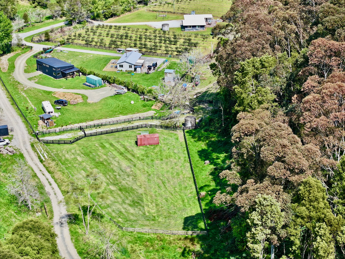 Bush retreat minutes from Ballance Street