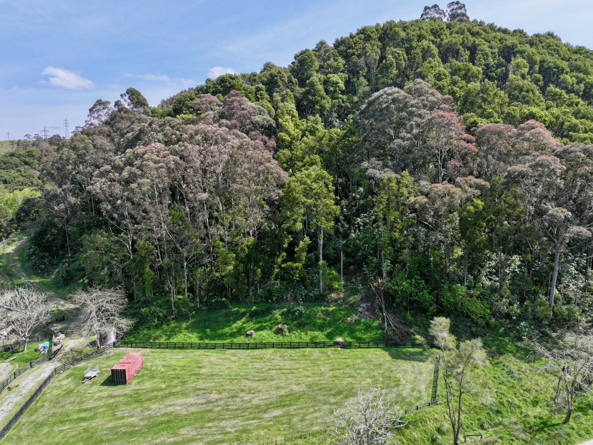 Bush retreat minutes from Ballance Street