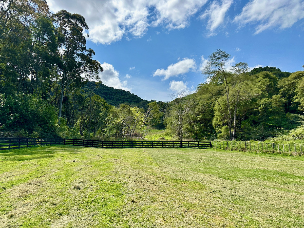 Bush retreat minutes from Ballance Street