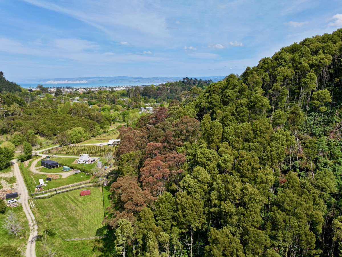 Bush retreat minutes from Ballance Street