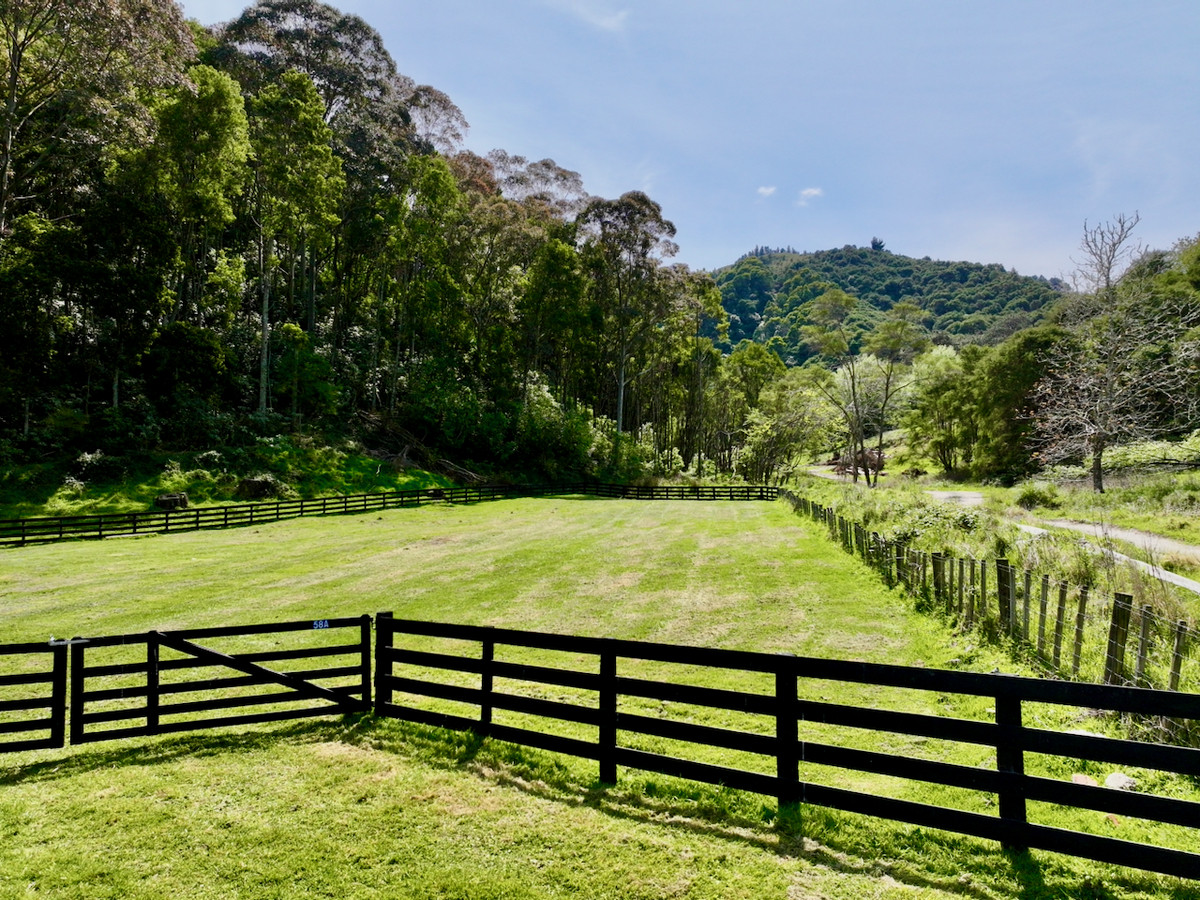 Bush retreat minutes from Ballance Street