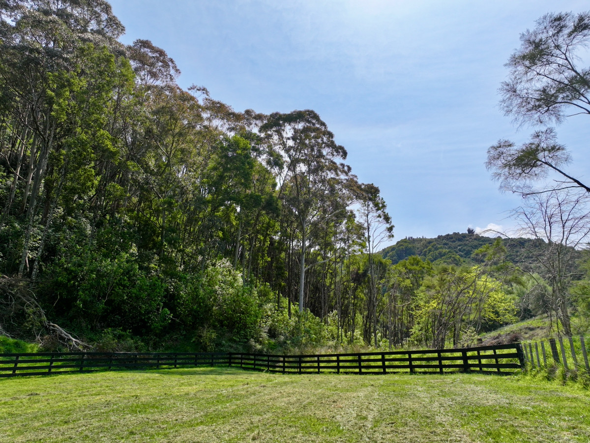 Bush retreat minutes from Ballance Street