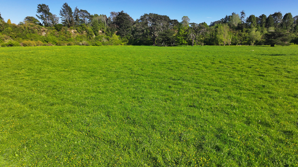 Ideal Grazing, Cropping or Small Farm Opportunity