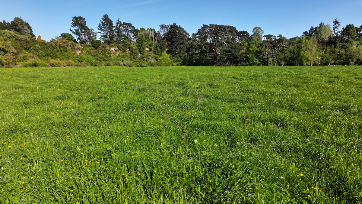 Ideal Grazing, Cropping or Small Farm Opportunity