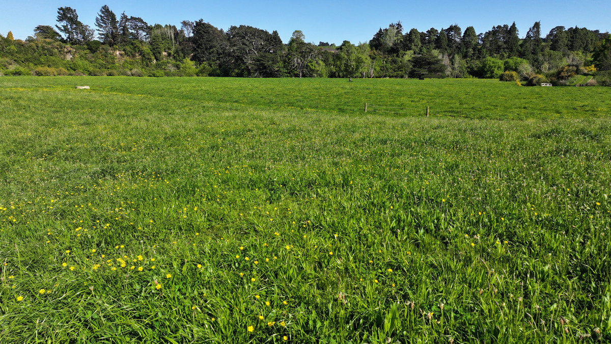 Ideal Grazing, Cropping or Small Farm Opportunity