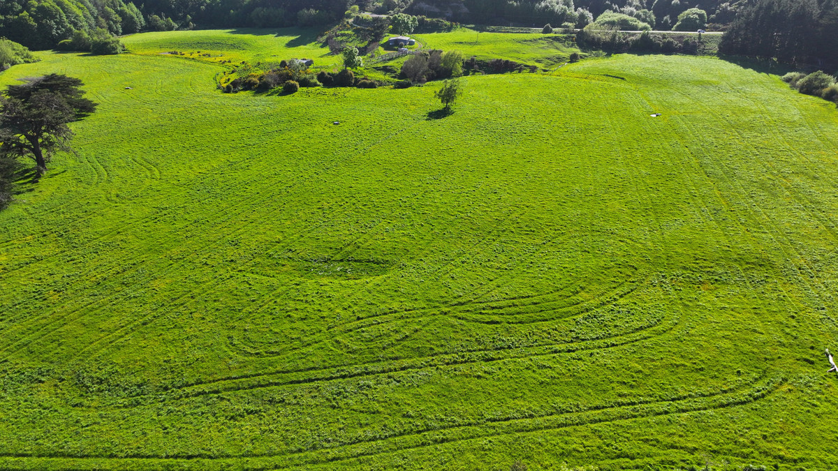 Ideal Grazing, Cropping or Small Farm Opportunity