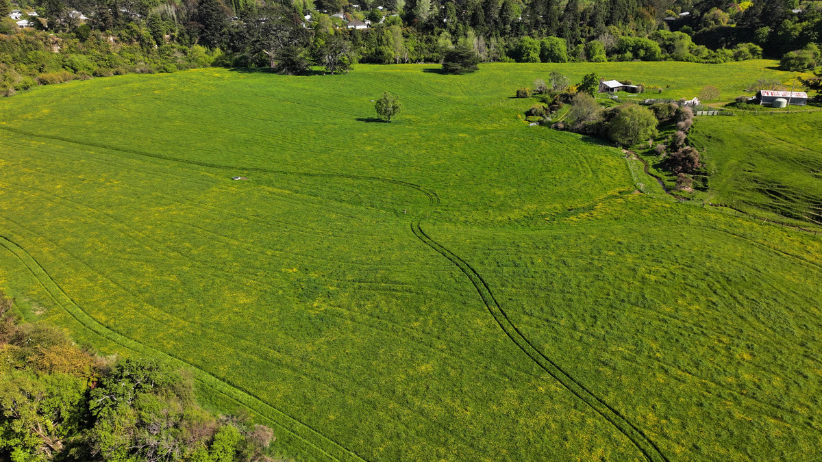 Ideal Grazing, Cropping or Small Farm Opportunity