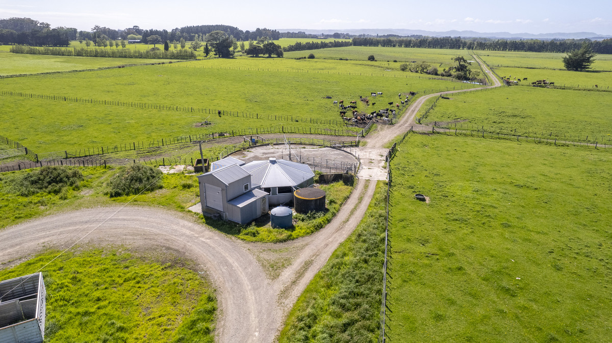 Versatility and Fertile Soils In a Prime Location