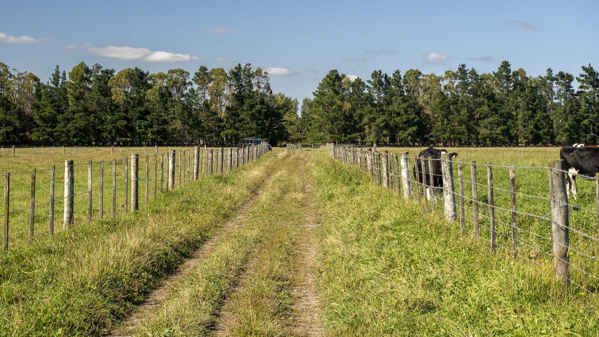 Versatility and Fertile Soils In a Prime Location