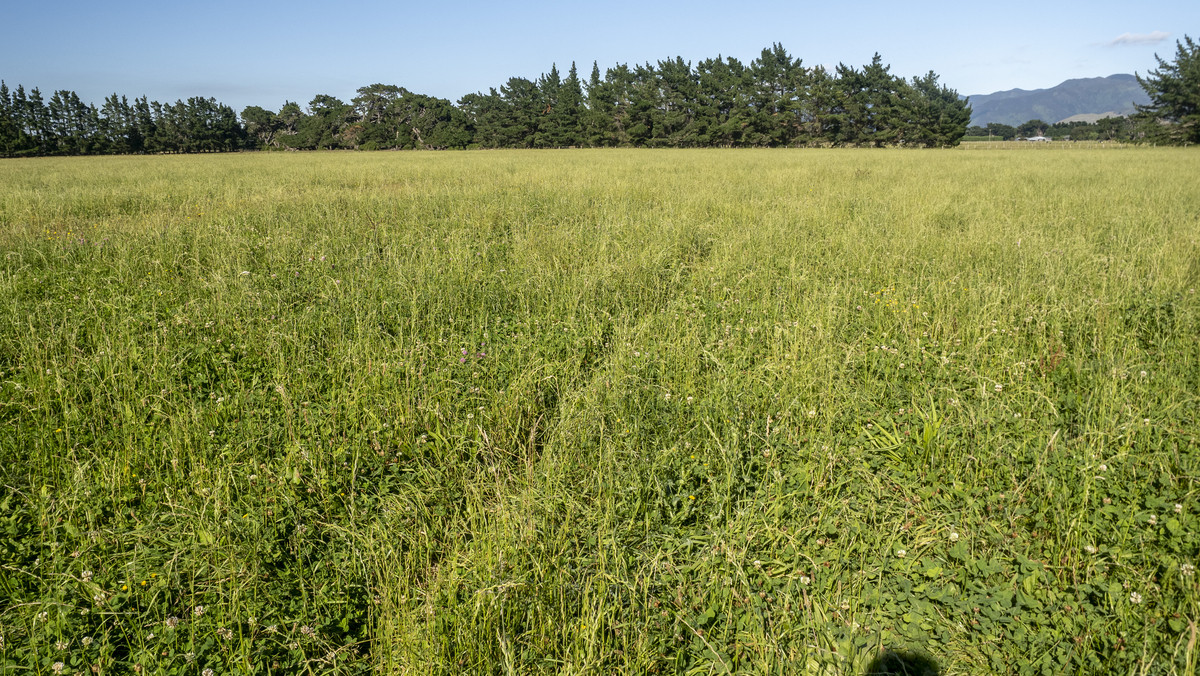 Versatility and Fertile Soils In a Prime Location