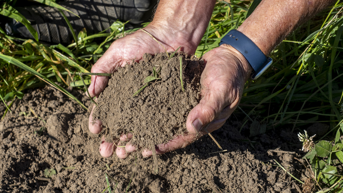 Versatility and Fertile Soils In a Prime Location