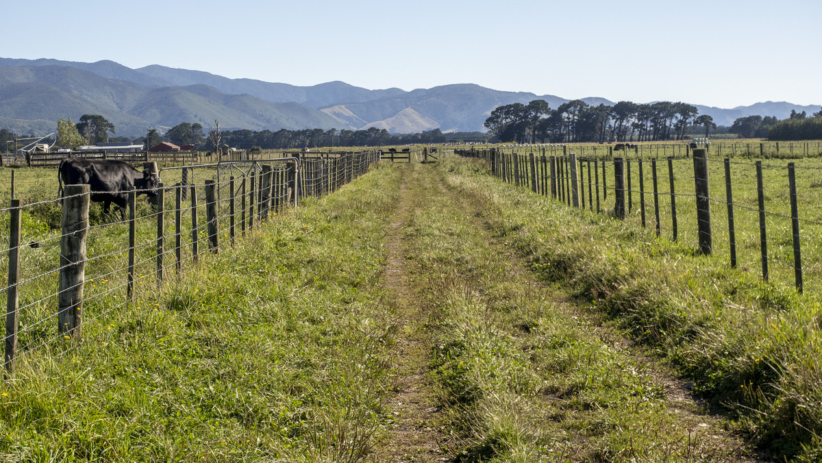 Versatility and Fertile Soils In a Prime Location