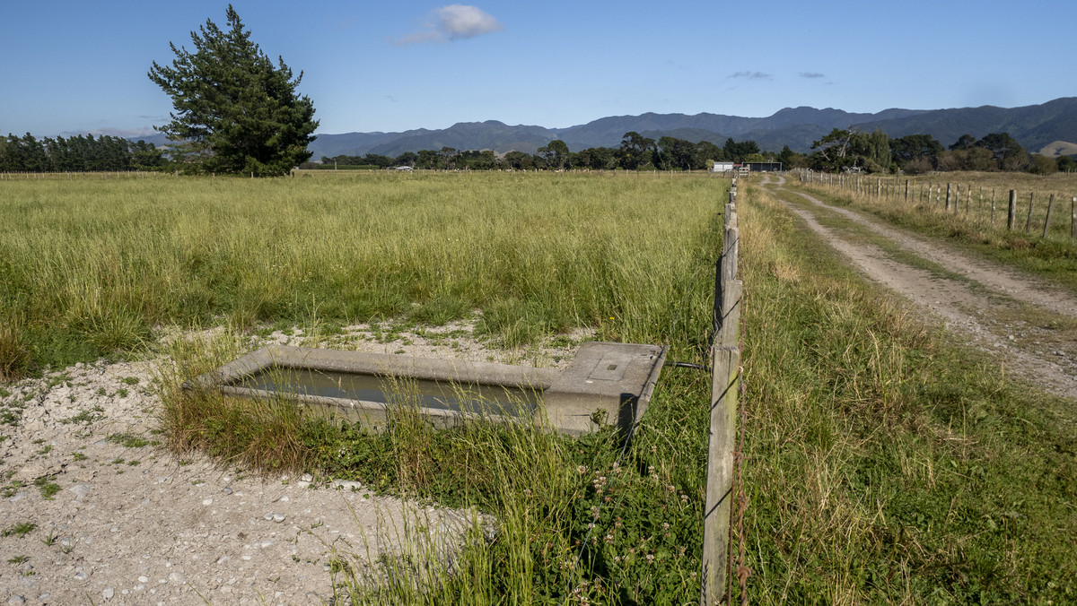 Versatility and Fertile Soils In a Prime Location