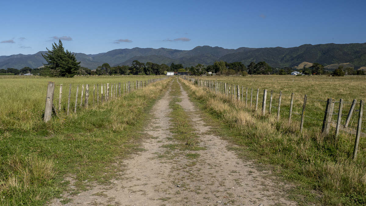 Versatility and Fertile Soils In a Prime Location