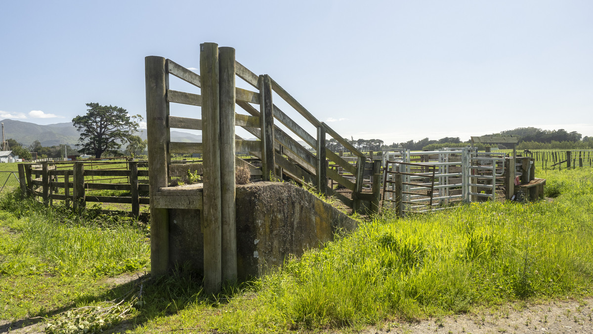 Versatility and Fertile Soils In a Prime Location