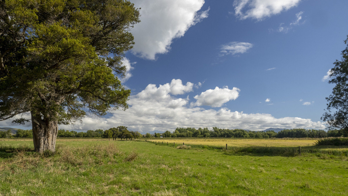 Fertile Soils in Sought after Location