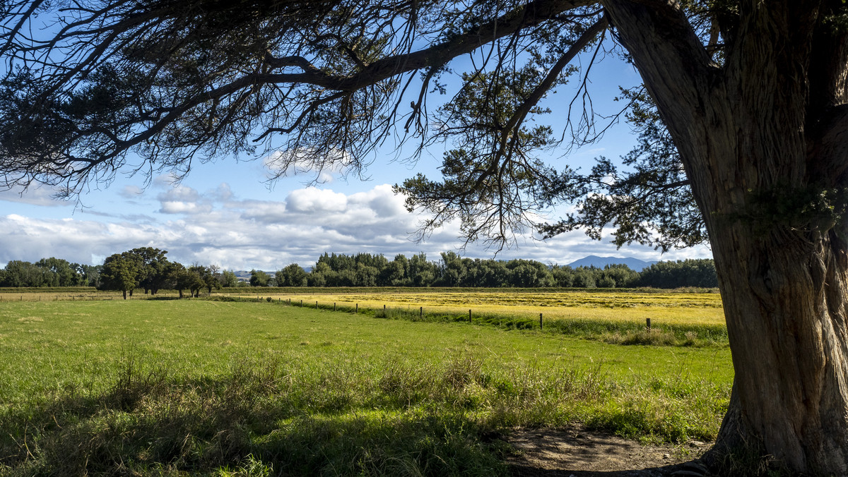 Fertile Soils in Sought after Location