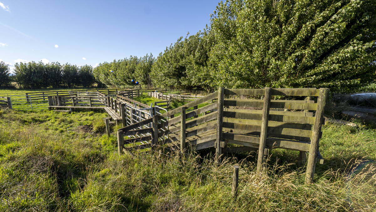 Fertile Soils in Sought after Location