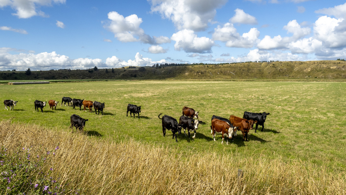 Fertile Soils in Sought after Location