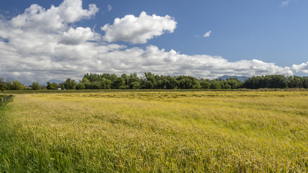 Fertile Soils in Sought after Location