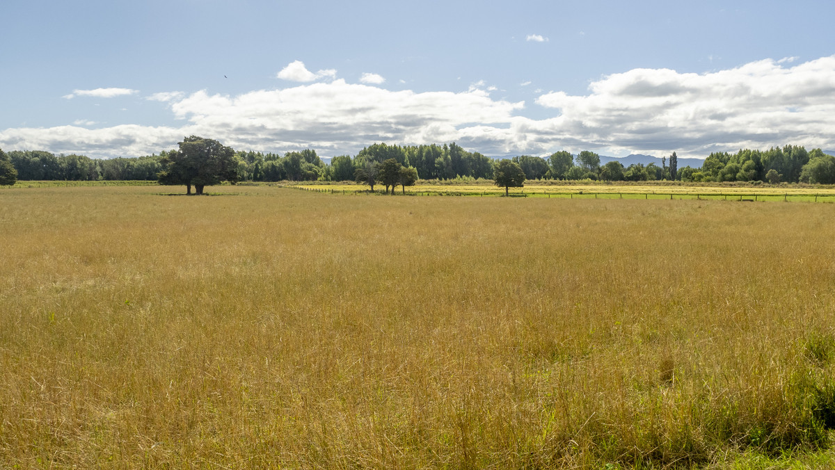 Fertile Soils in Sought after Location