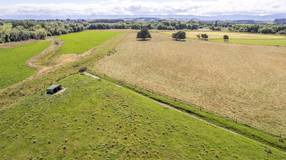 Fertile Soils in Sought after Location