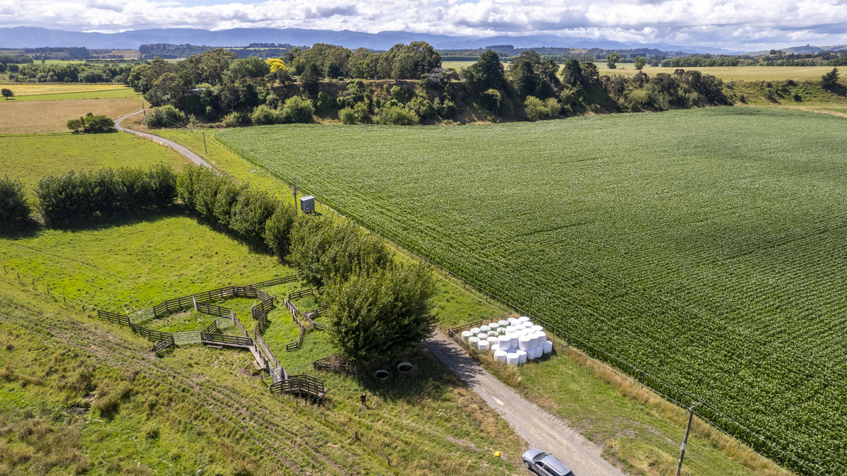 Fertile Soils in Sought after Location