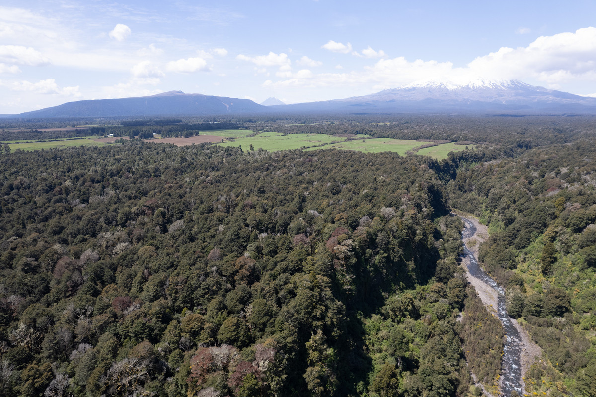 A Prime Bush Block Opportunity in Ruapehu