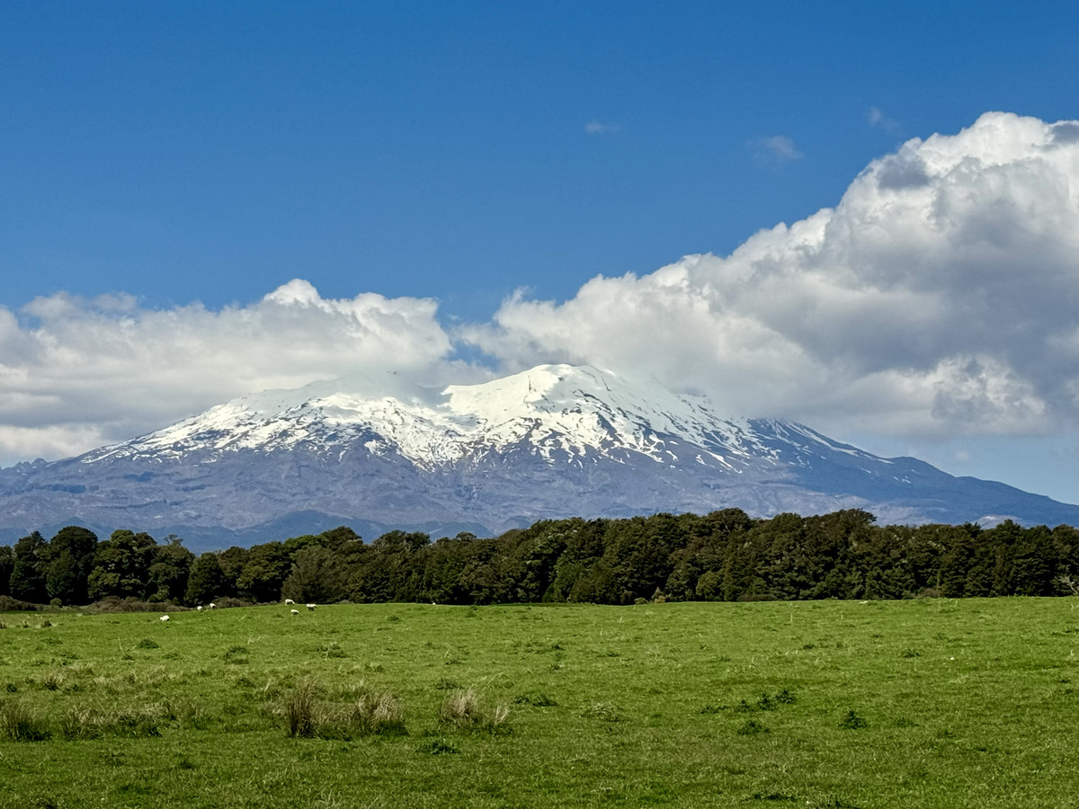 A Prime Bush Block Opportunity in Ruapehu