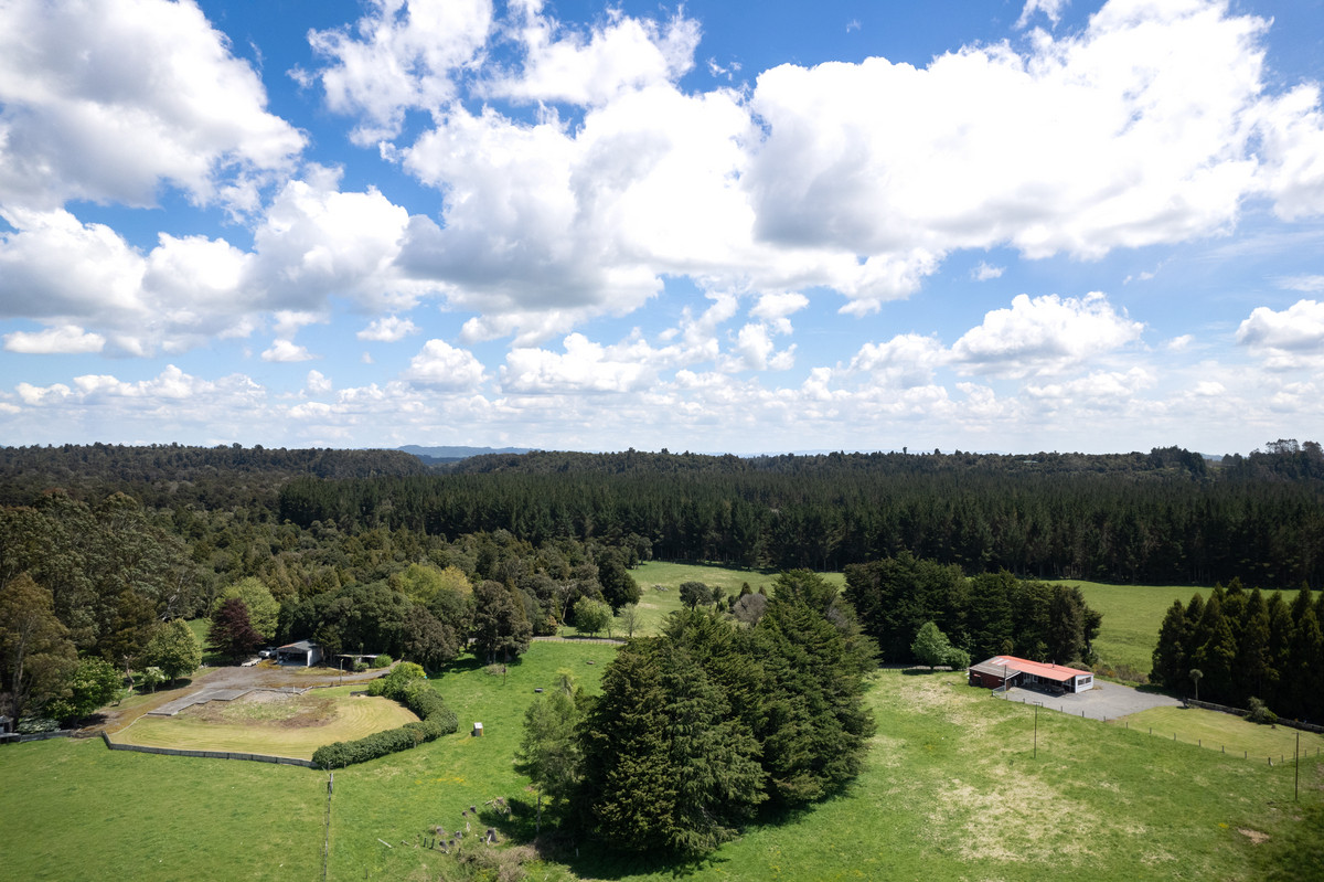 A Prime Bush Block Opportunity in Ruapehu