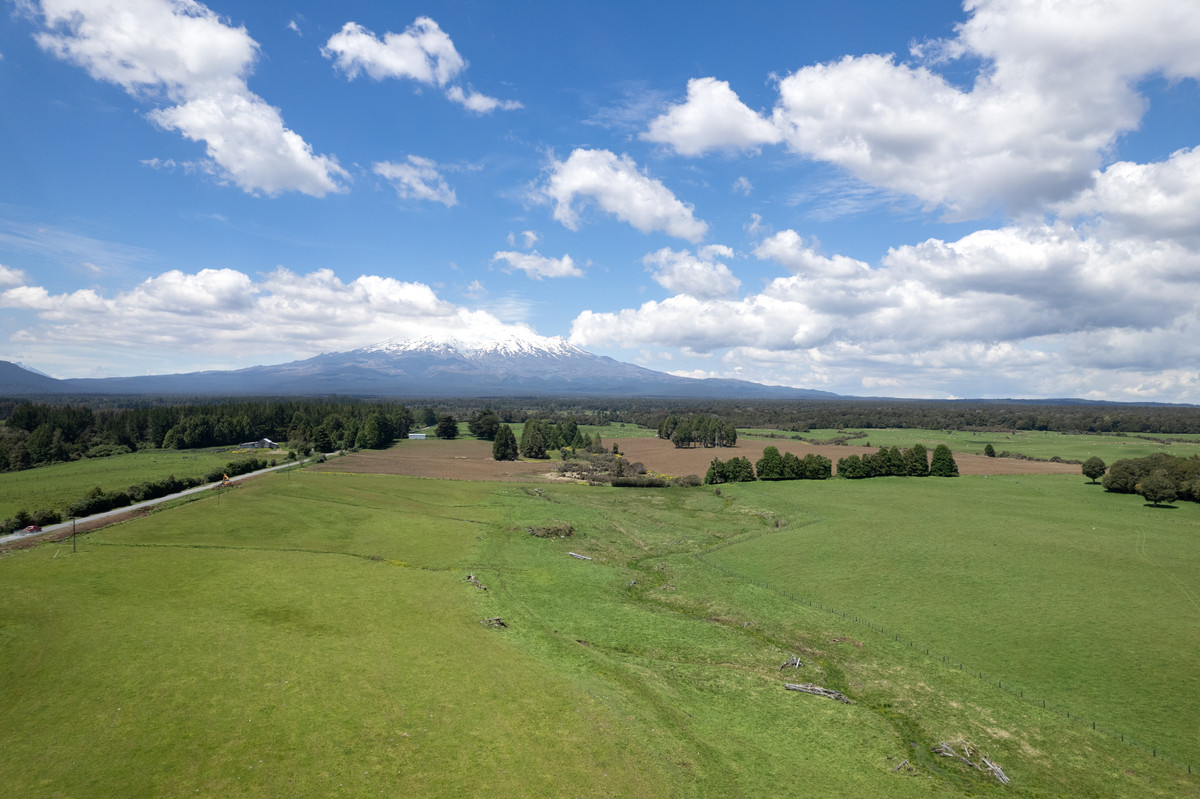 A Prime Bush Block Opportunity in Ruapehu