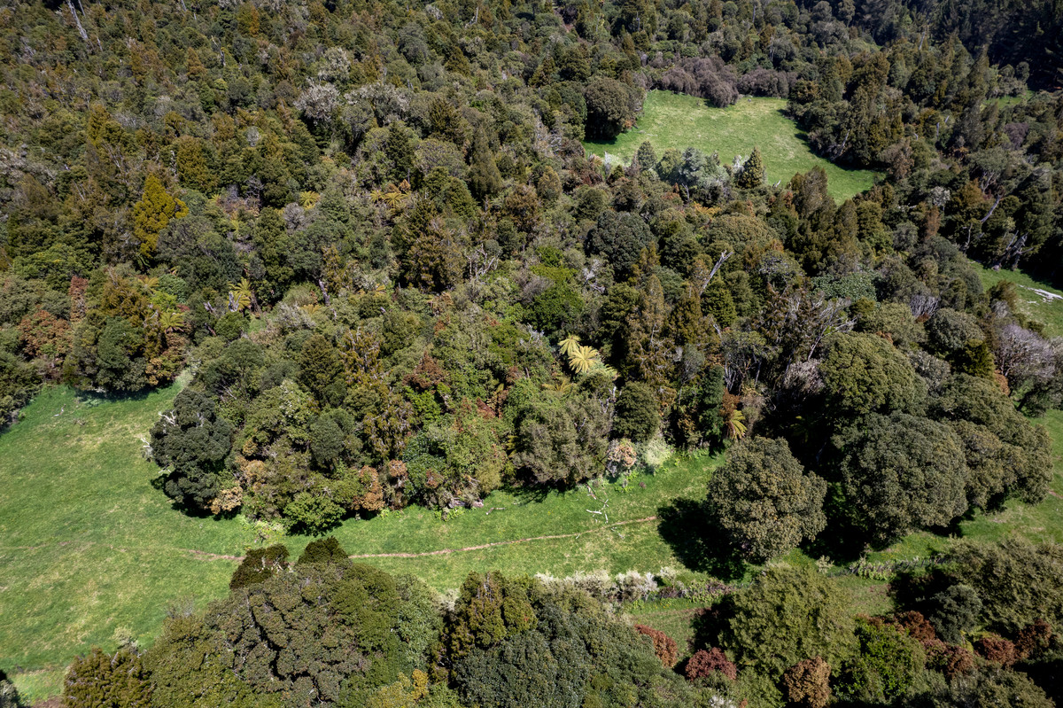 A Prime Bush Block Opportunity in Ruapehu