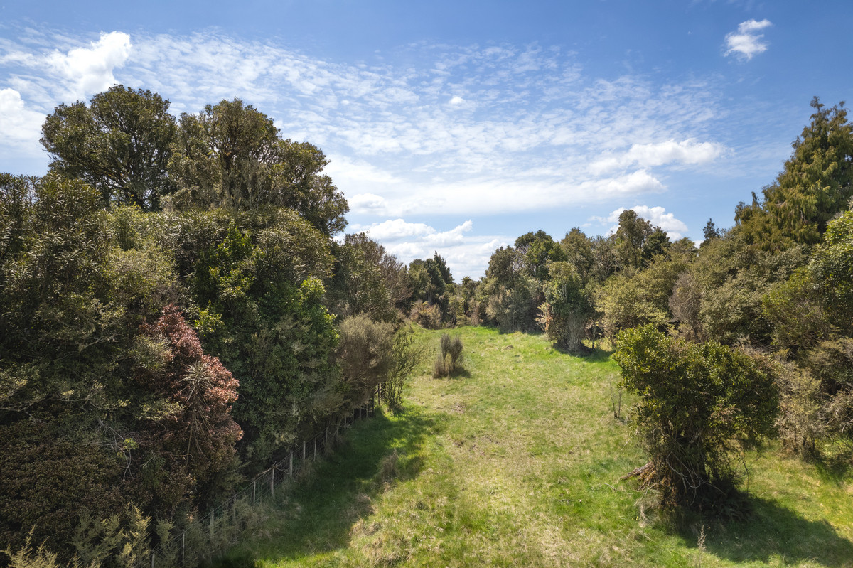 A Prime Bush Block Opportunity in Ruapehu