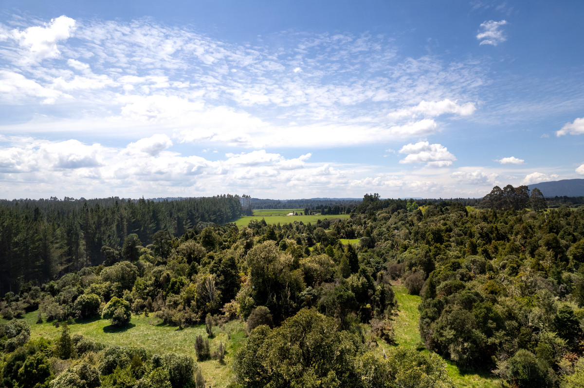 A Prime Bush Block Opportunity in Ruapehu