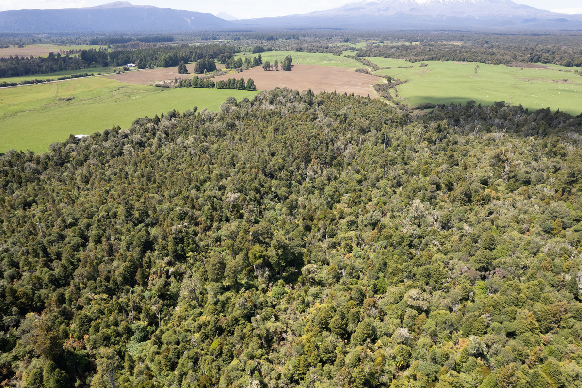 A Prime Bush Block Opportunity in Ruapehu