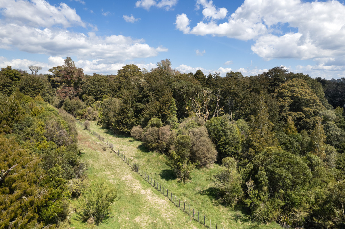 A Prime Bush Block Opportunity in Ruapehu