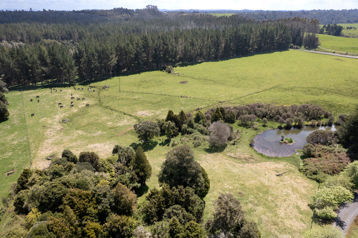 A Prime Bush Block Opportunity in Ruapehu