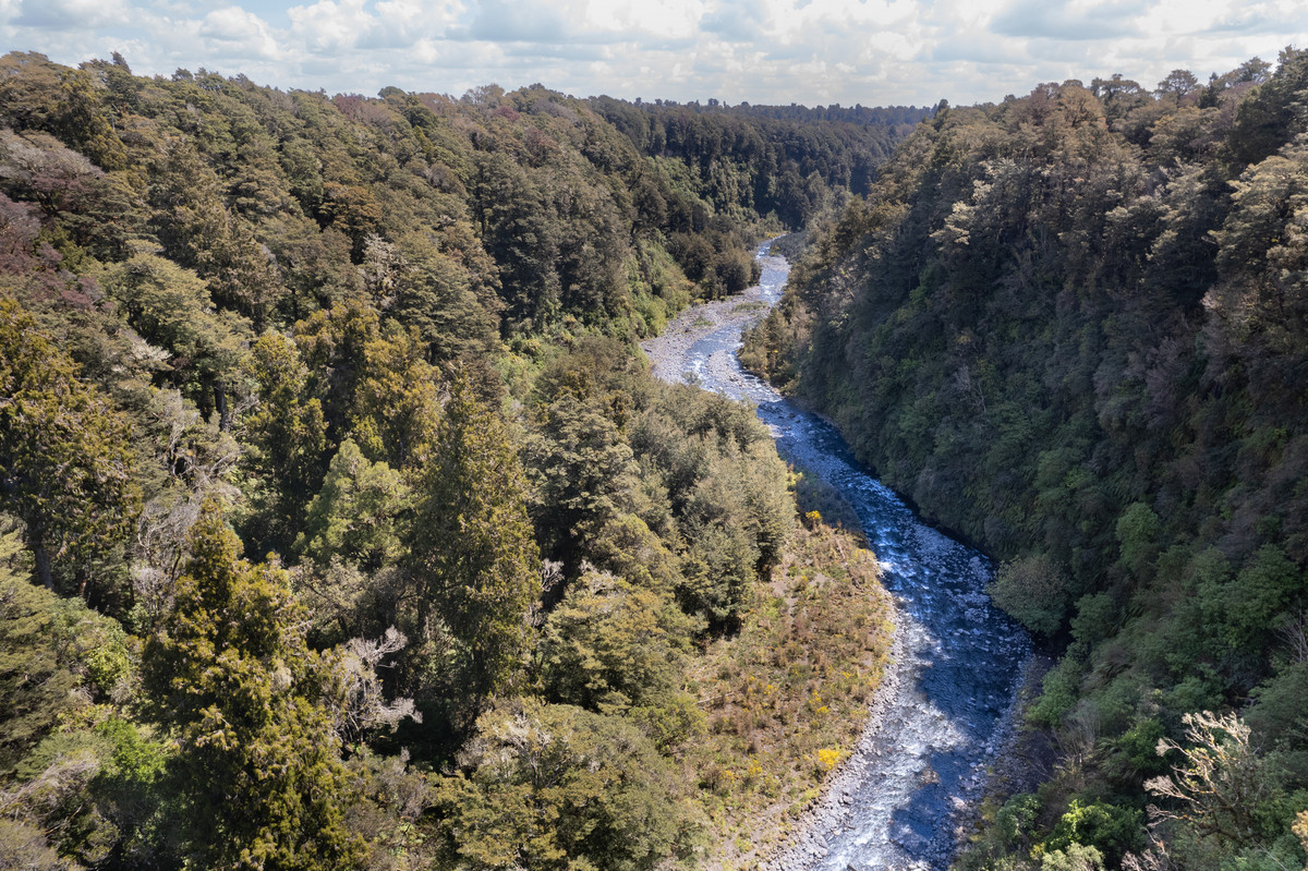 A Prime Bush Block Opportunity in Ruapehu