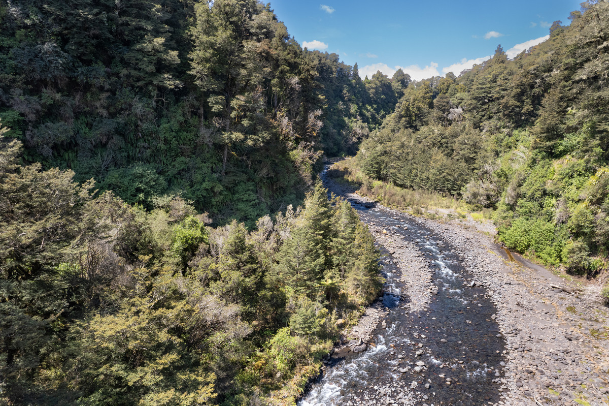 A Prime Bush Block Opportunity in Ruapehu