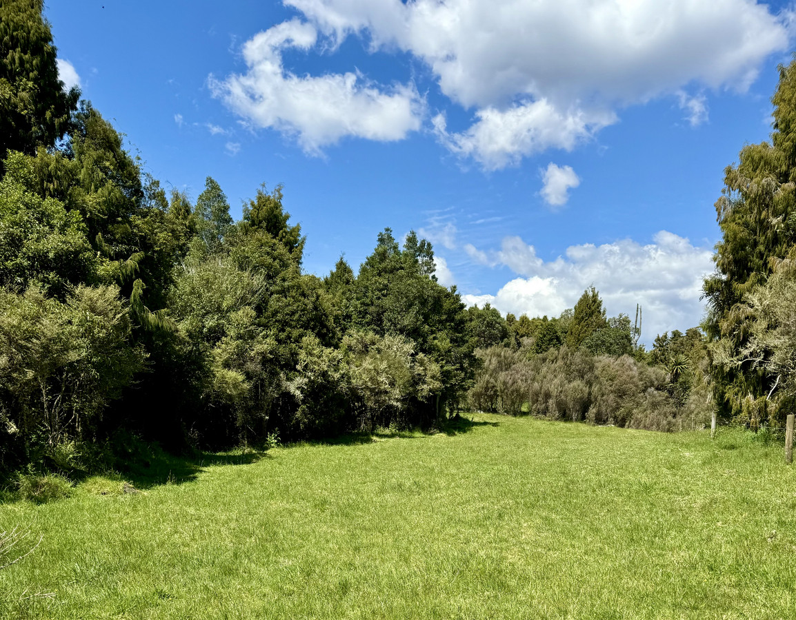 A Prime Bush Block Opportunity in Ruapehu