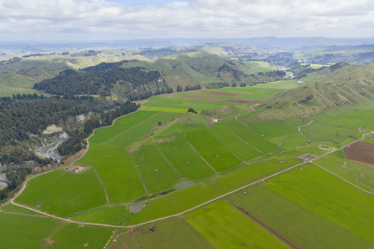 Kohunui - Stunning Country With Quality Soils