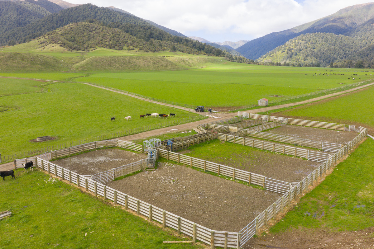 Kohunui - Stunning Country With Quality Soils