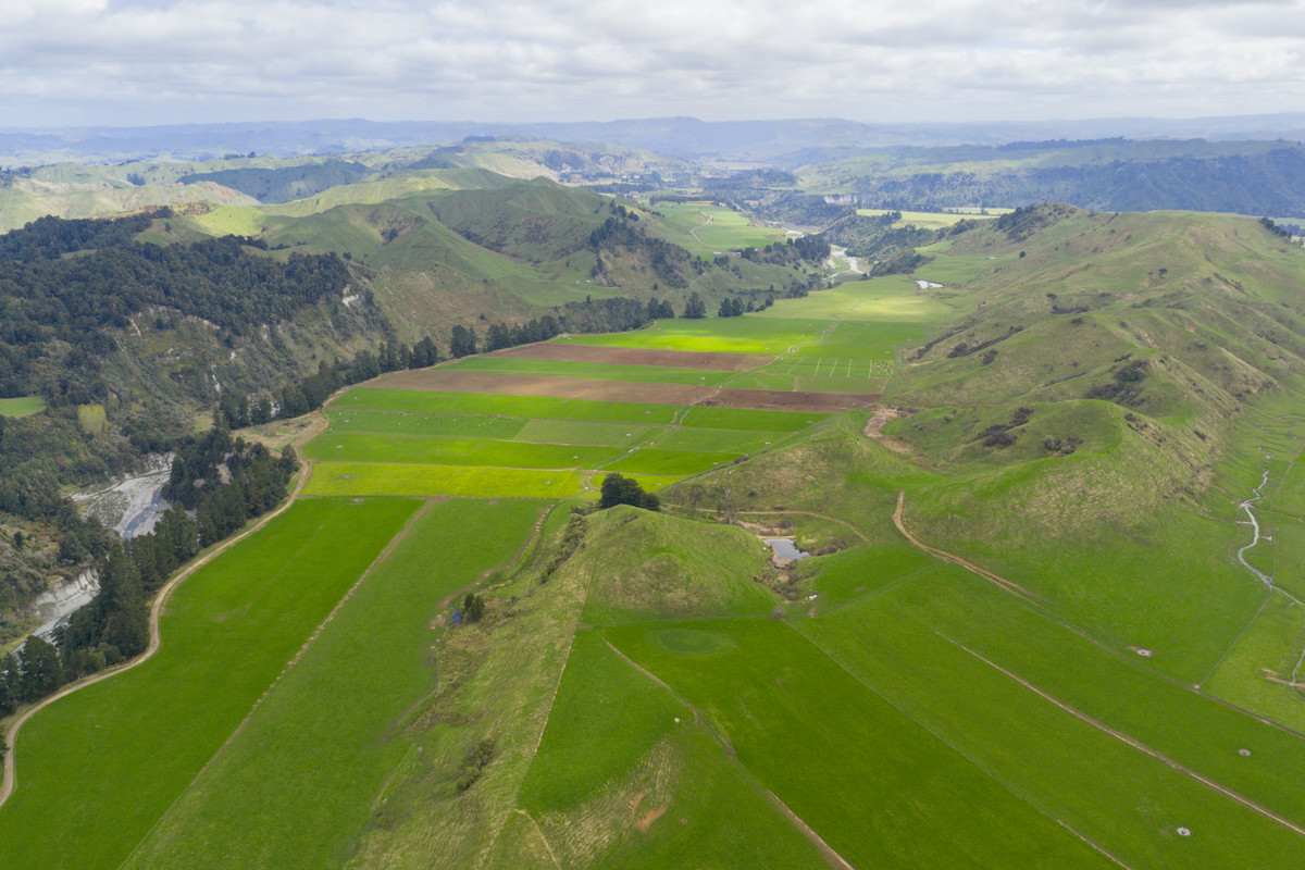 Kohunui - Stunning Country With Quality Soils