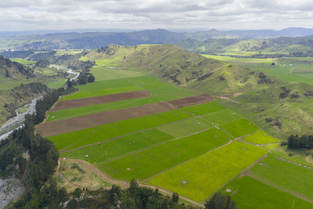Kohunui - Stunning Country With Quality Soils