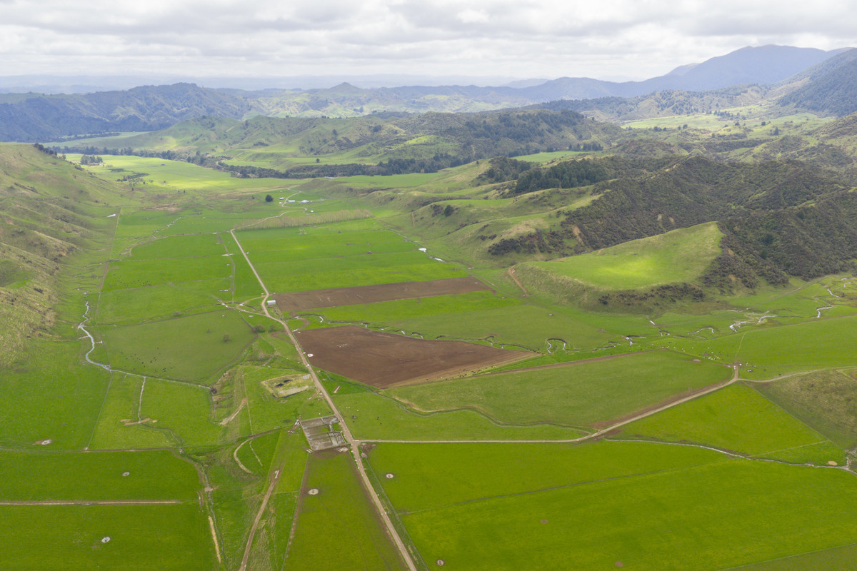 Kohunui - Stunning Country With Quality Soils